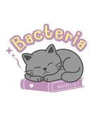 Bacteria