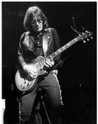 Grootschalige poster van Ron Asheton