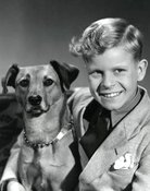 Tom Rindom Thomsen
