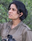 Dêrsîm Zêrevan