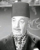 Mohamed Abdel Koddous