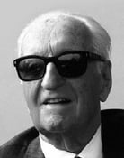 Largescale poster for Enzo Ferrari