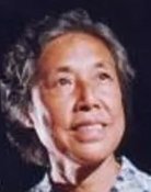 Yingjie Fu
