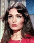 Largescale poster for Parveen Babi