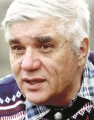 Veikko Lavi