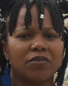Nonzi Bogatsu