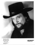 Image courtesy of TMDb Waylon Jennings