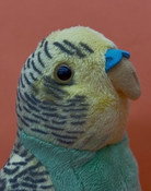 piet