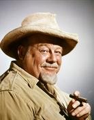 Grootschalige poster van Burl Ives