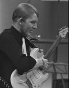 Vic Briggs
