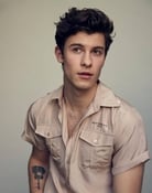 Grootschalige poster van Shawn Mendes