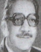 Hassib Ghoubashy