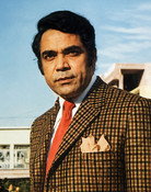 Sultan Rahi