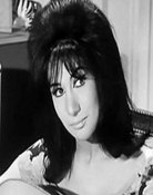 Fauzia El Ansary