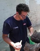 Axel Tarifa