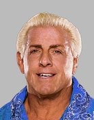 Grootschalige poster van Ric Flair