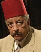 Grootschalige poster van Khalil Morsi