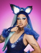 Roxxy