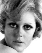 Pam Rose