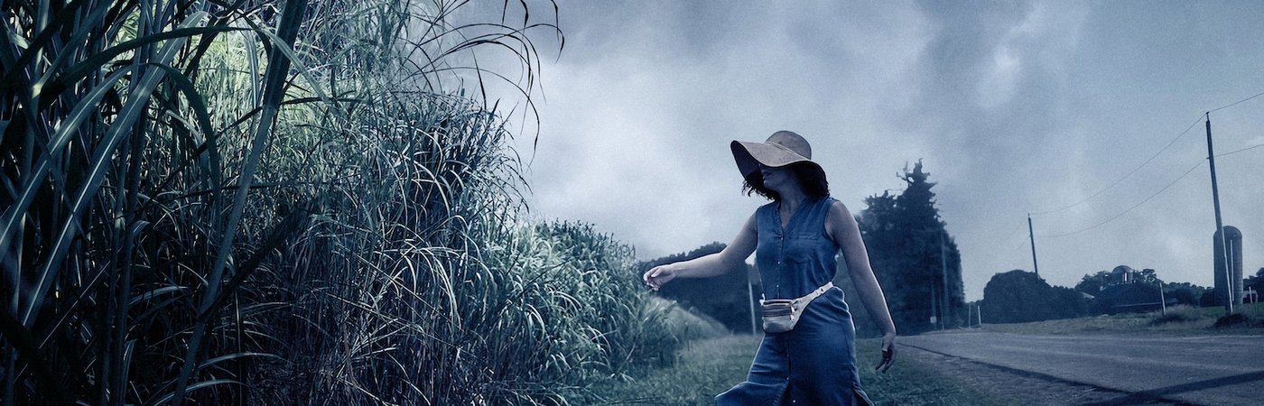 In the Tall Grass -