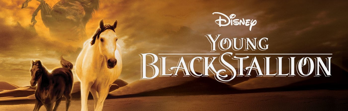 Pelicula Carrera De Caballos En El Desierto Ver Shetan, el caballo del desierto Online pelicula en castellano y