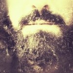 jonnybaldini
