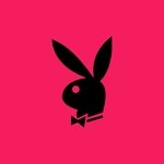blackrabbit