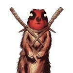 irkillroy
