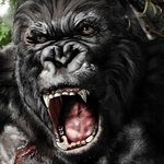 kingkong25