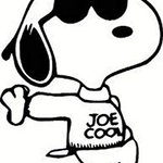 Joe Cool
