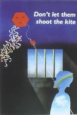 Don't Let Them Shoot the Kite