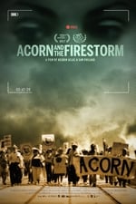 Acorn and the Firestorm