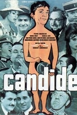 Candide or The Optimism in the 20th Century