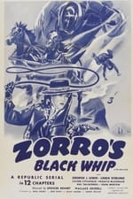 Zorro's Black Whip