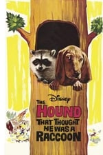 The Hound That Thought He Was a Raccoon