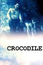 Crocodile