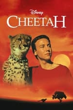 Cheetah