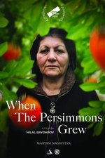 When the Persimmons Grew
