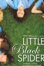 Little Black Spiders