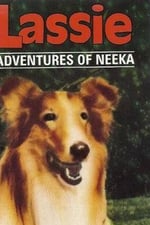 Lassie: The Adventures of Neeka