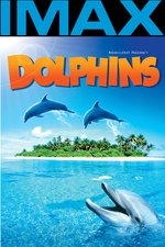 Dolphins