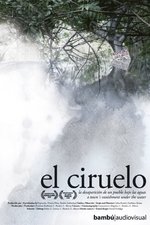 El Ciruelo