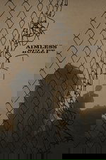 Aimless Bullet