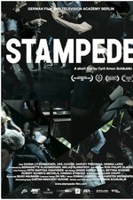 Stampede