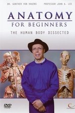 Anatomy for Beginners