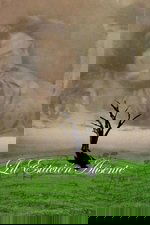 The Absent Season
