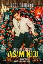 Yaşam Koçu