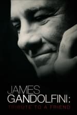 James Gandolfini: Tribute to a Friend