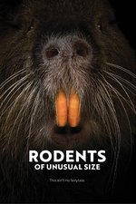 Rodents of Unusual Size