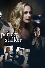 The Perfect Stalker